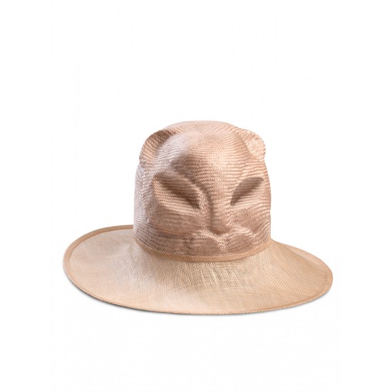 Cat Sabyssinian Hat
