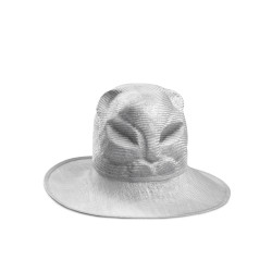 Cat ScottishFold Hat