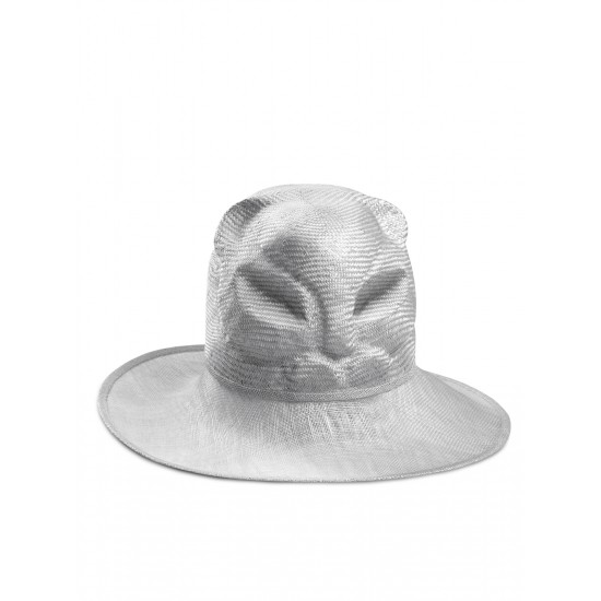 Cat ScottishFold Hat