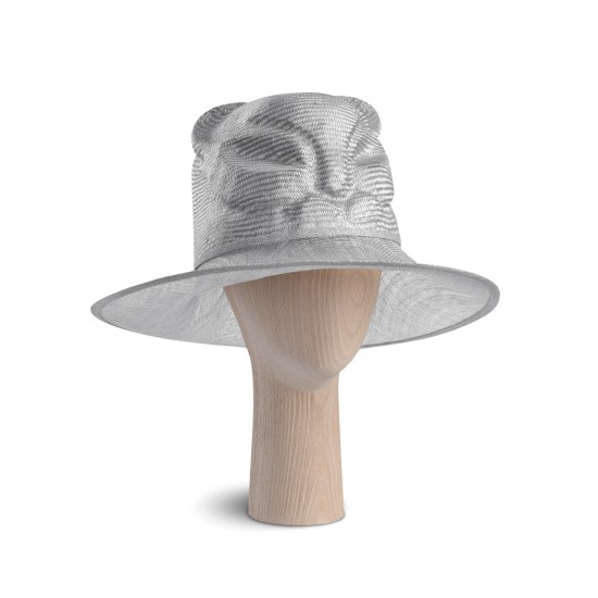 Cat ScottishFold Hat