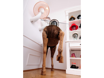 Kristina Dragomir - Stores