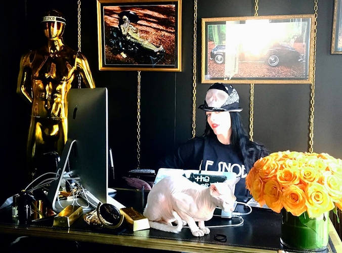 Kristina Dragomir - Stores