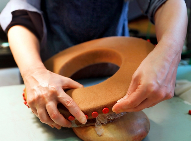 Kristina Dragomir - Tehnique